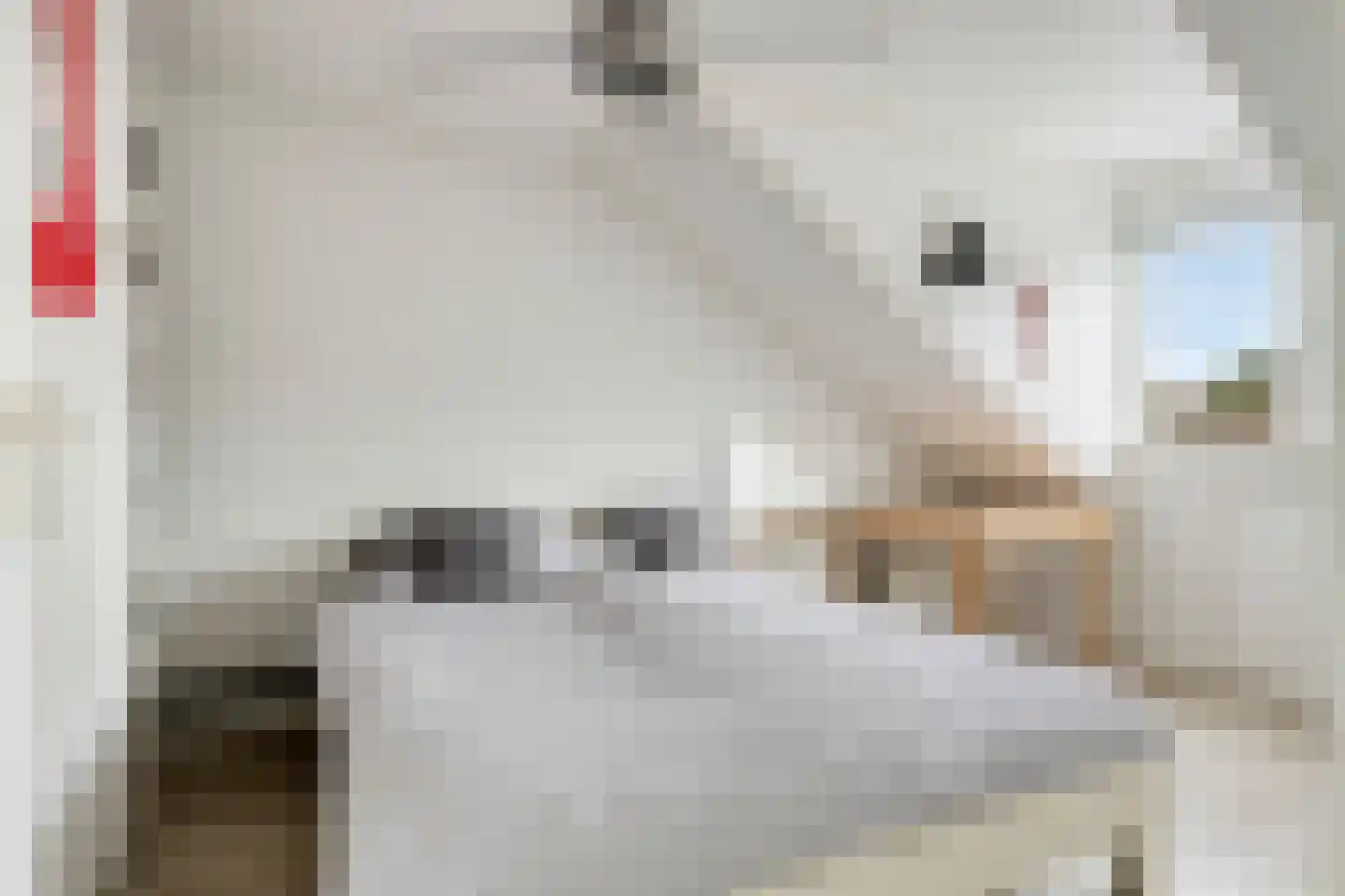 Steenstraat 28 Eersel thumbnail 20