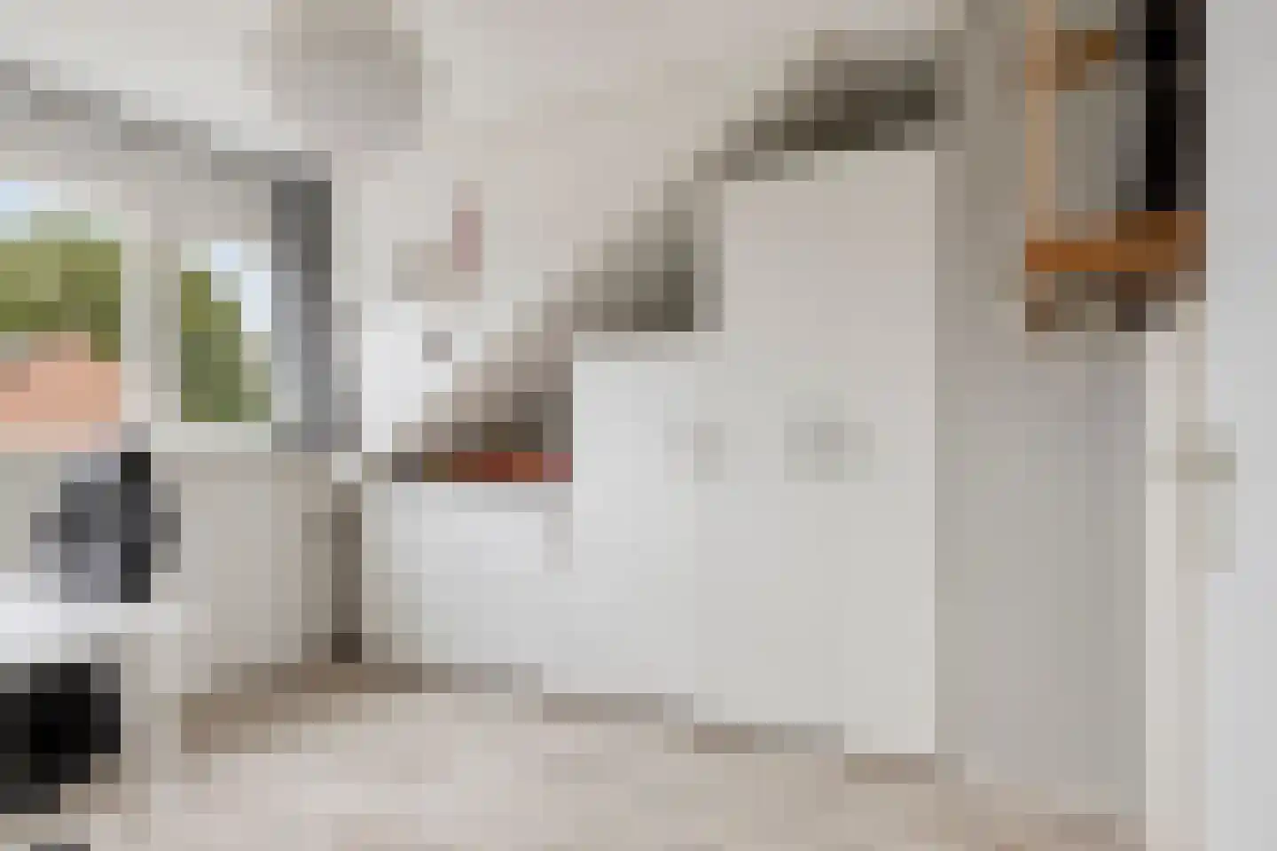 Steenstraat 28 Eersel thumbnail 21