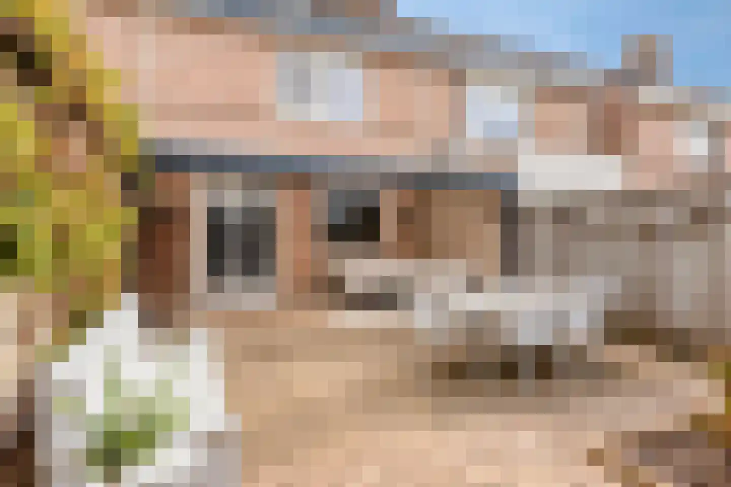 Steenstraat 28 Eersel thumbnail 24