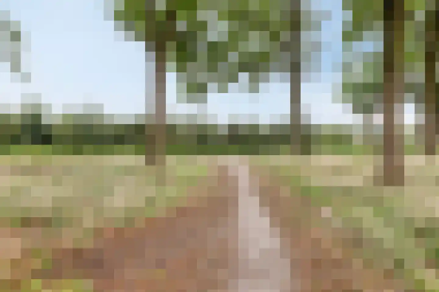 Steenstraat 28 Eersel thumbnail 26