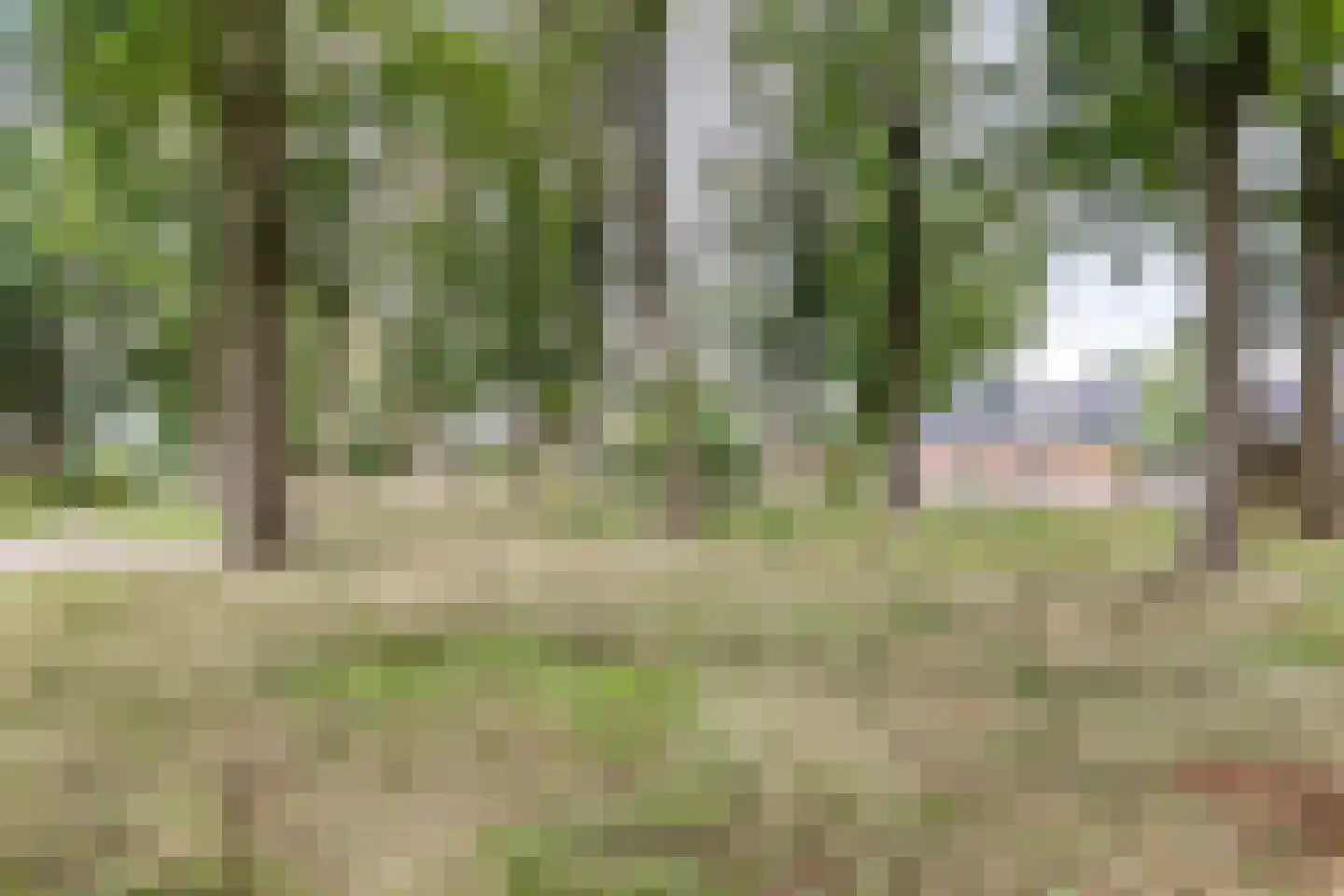 Steenstraat 28 Eersel thumbnail 27