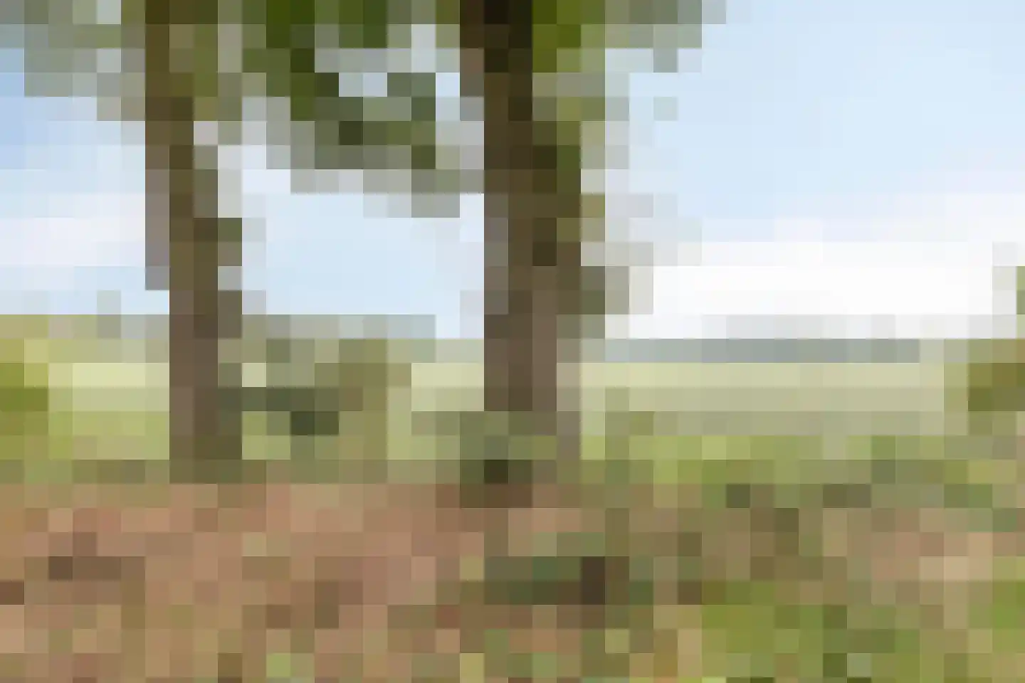 Steenstraat 28 Eersel thumbnail 29