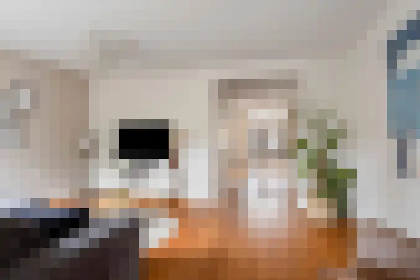 Steenstraat 28 Eersel thumbnail 5