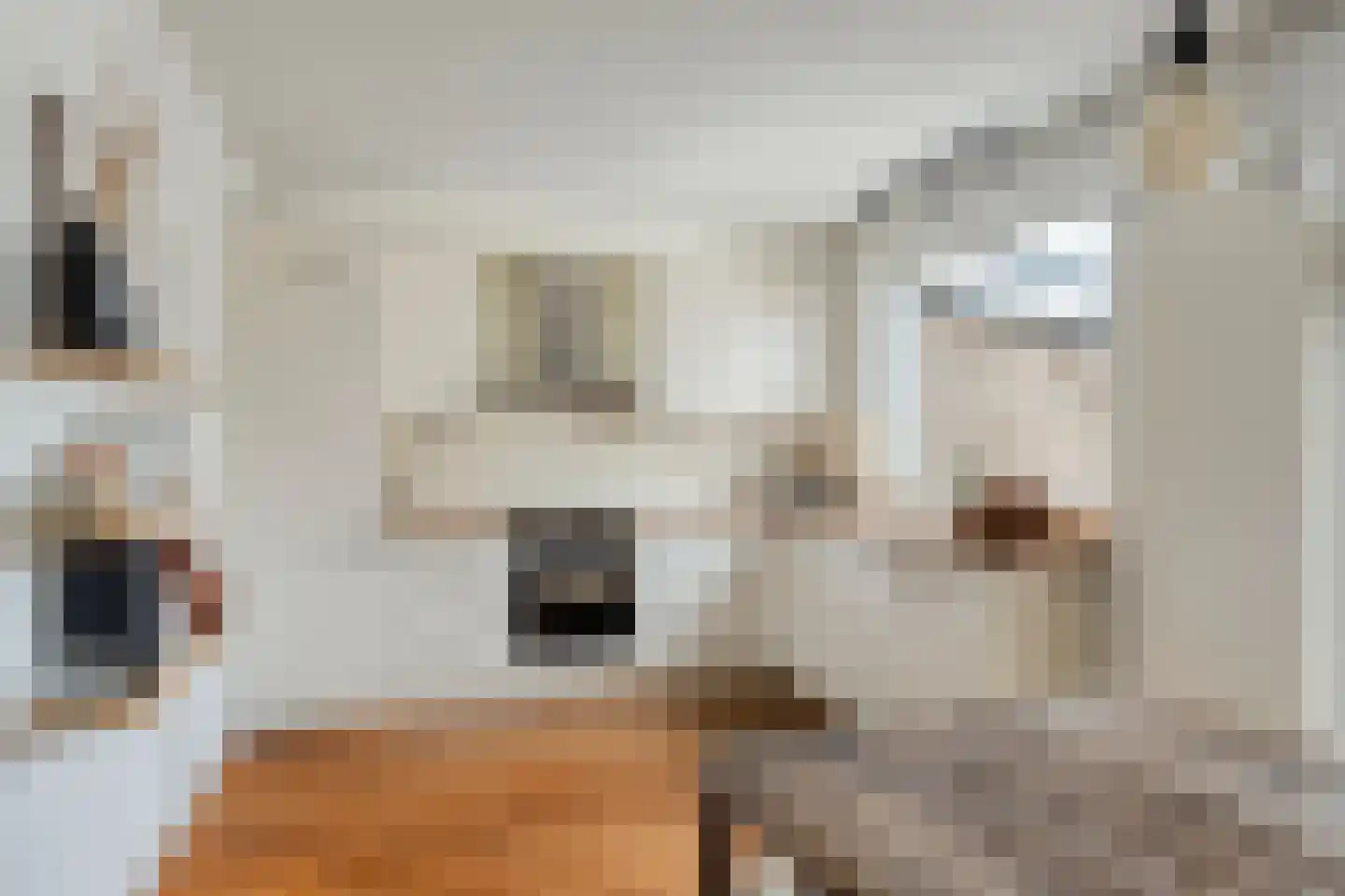 Steenstraat 28 Eersel thumbnail 9