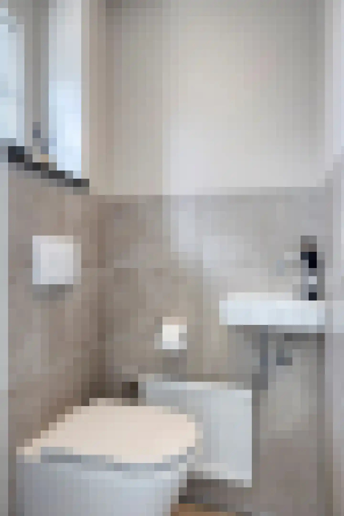 Steenstraat 29 Maasbracht thumbnail 12