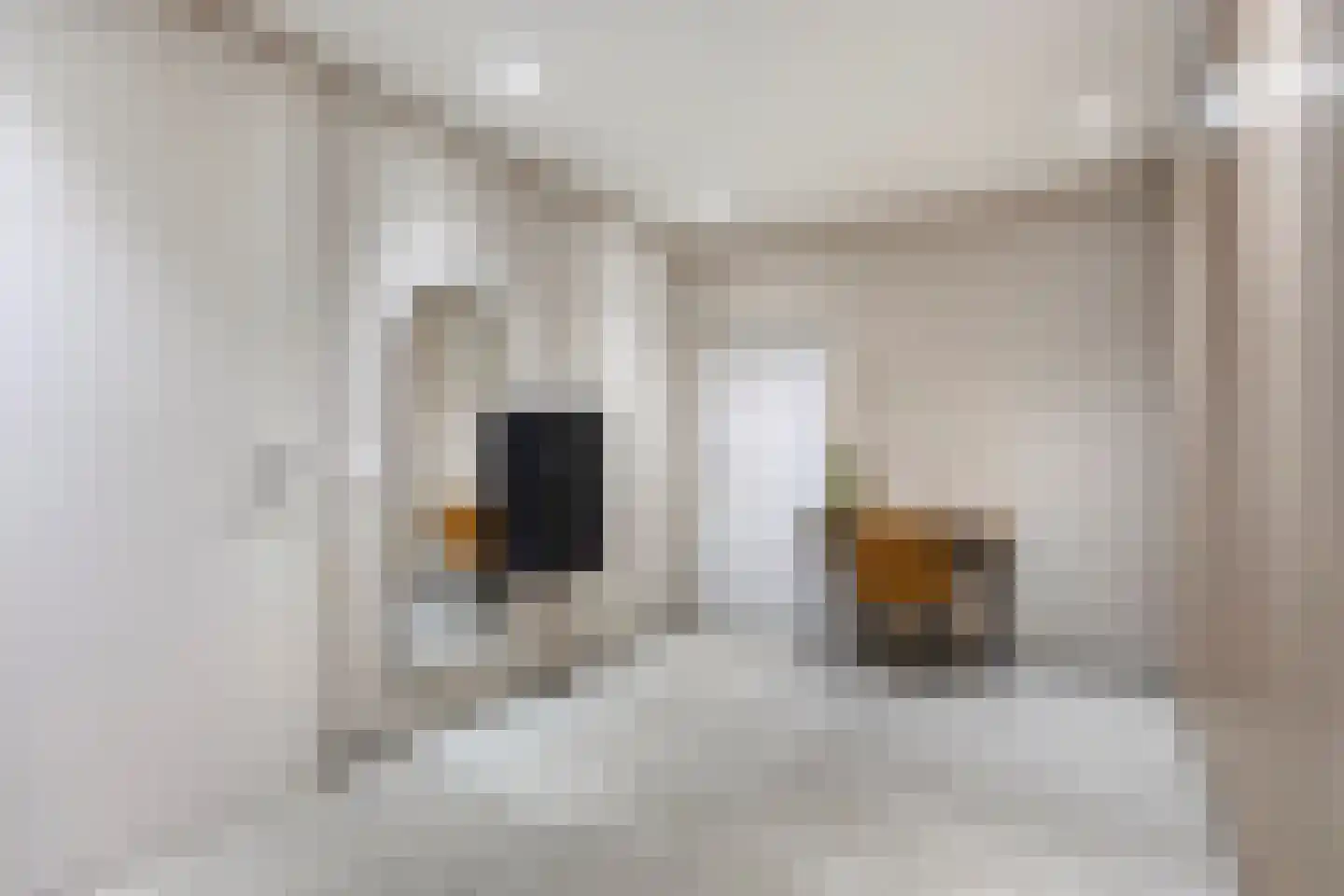 Steenstraat 29 Maasbracht thumbnail 35