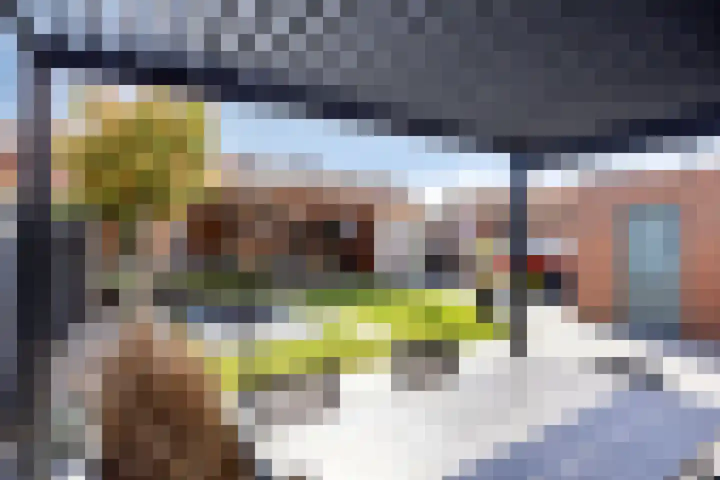 Steenstraat 29 Maasbracht thumbnail 48