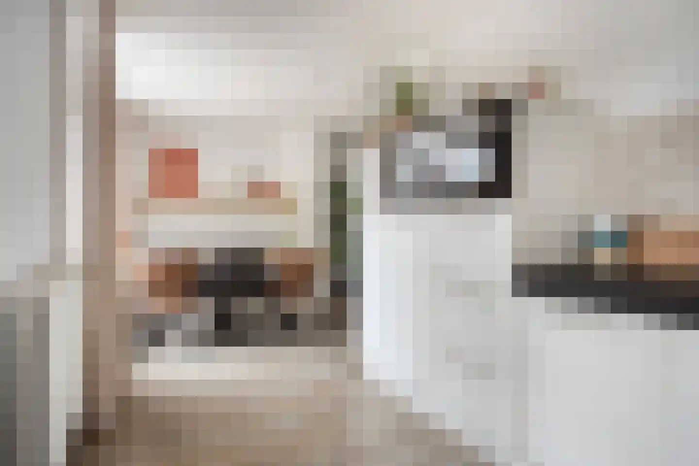 Steenstraat 3 Losser thumbnail 15