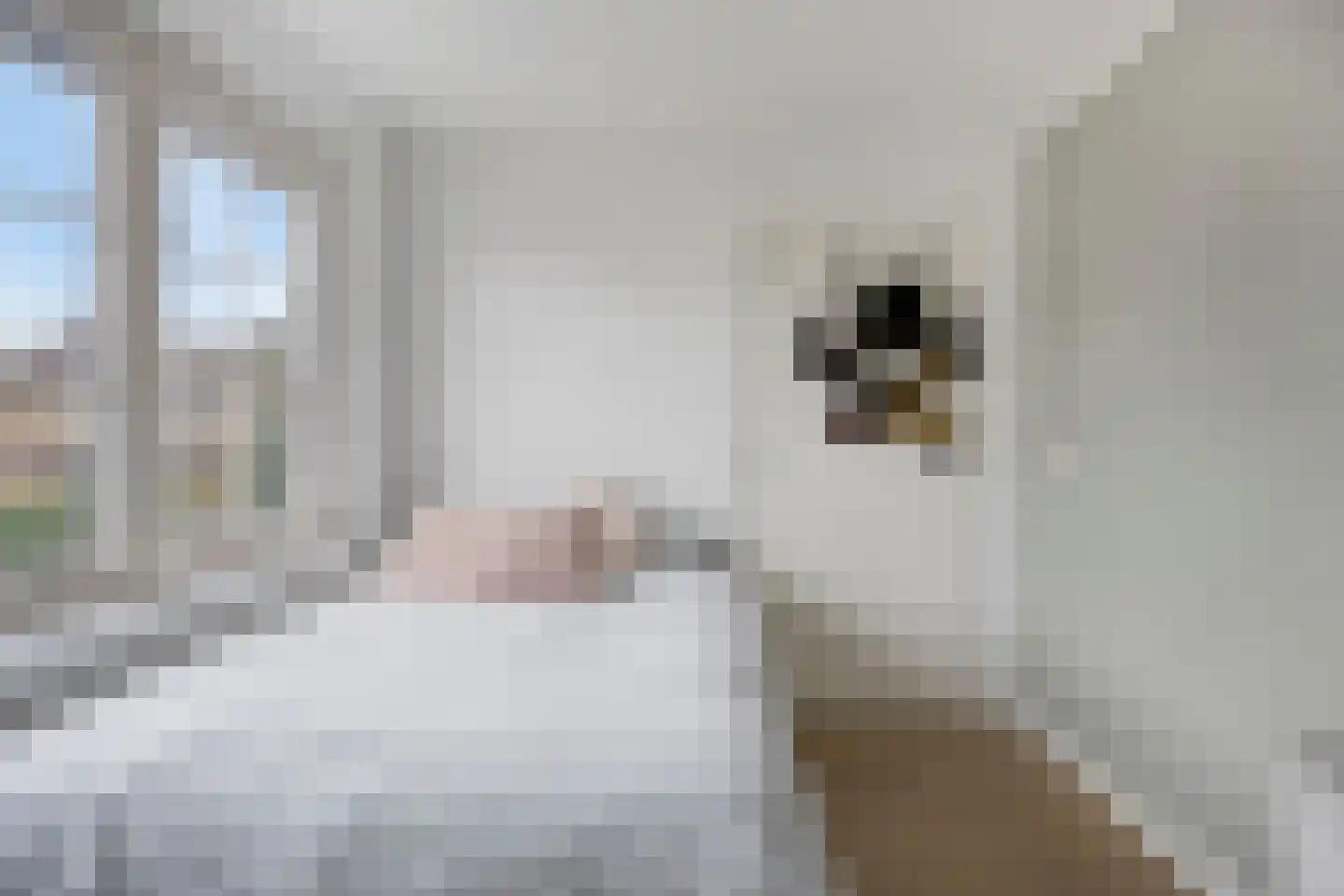 Steenstraat 3 Losser thumbnail 24
