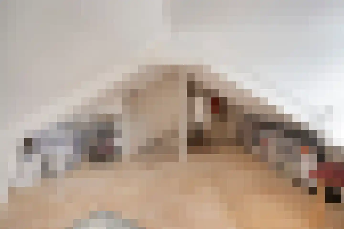 Steenstraat 3 Losser thumbnail 26