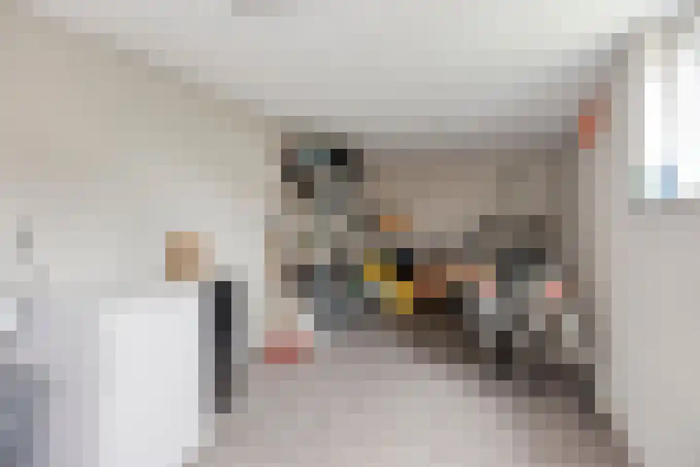 Steenstraat 3 Losser thumbnail 29