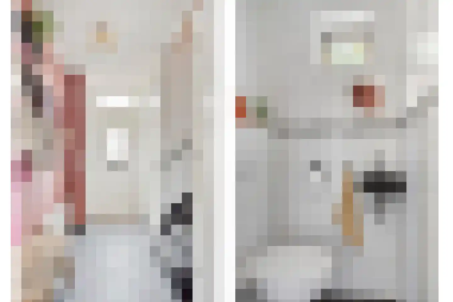 Steenstraat 3 Losser thumbnail 7