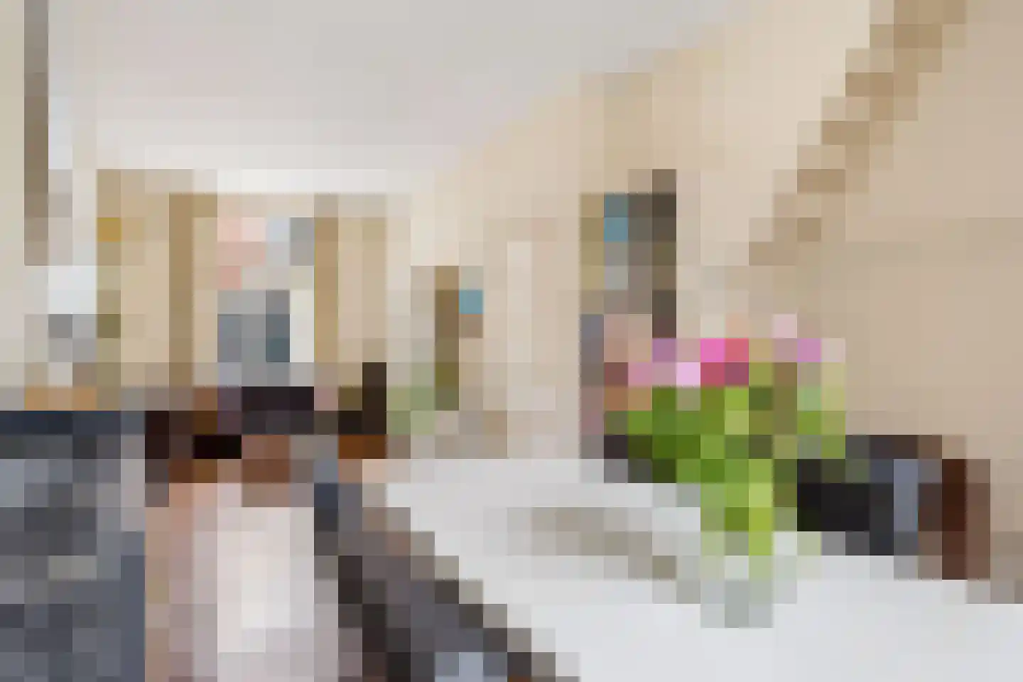 Steenstraat 3 Utrecht thumbnail 11