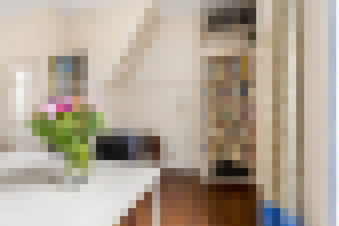 Steenstraat 3 Utrecht thumbnail 13