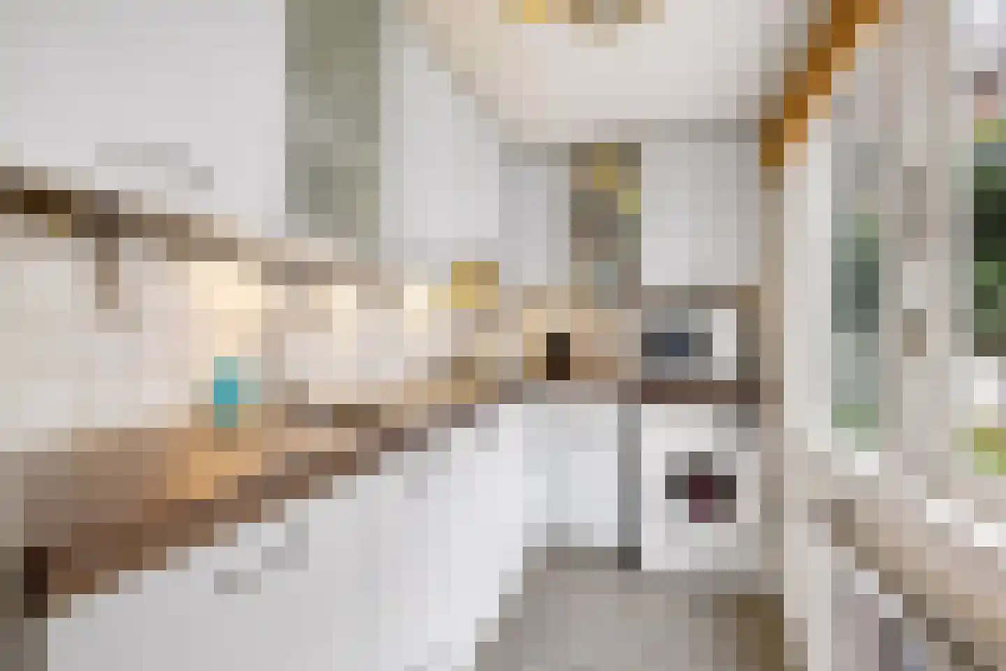 Steenstraat 3 Utrecht thumbnail 17