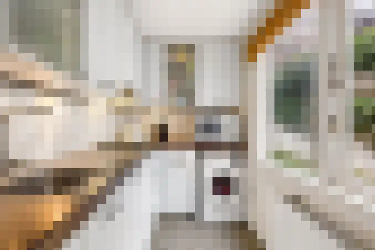 Steenstraat 3 Utrecht thumbnail 19