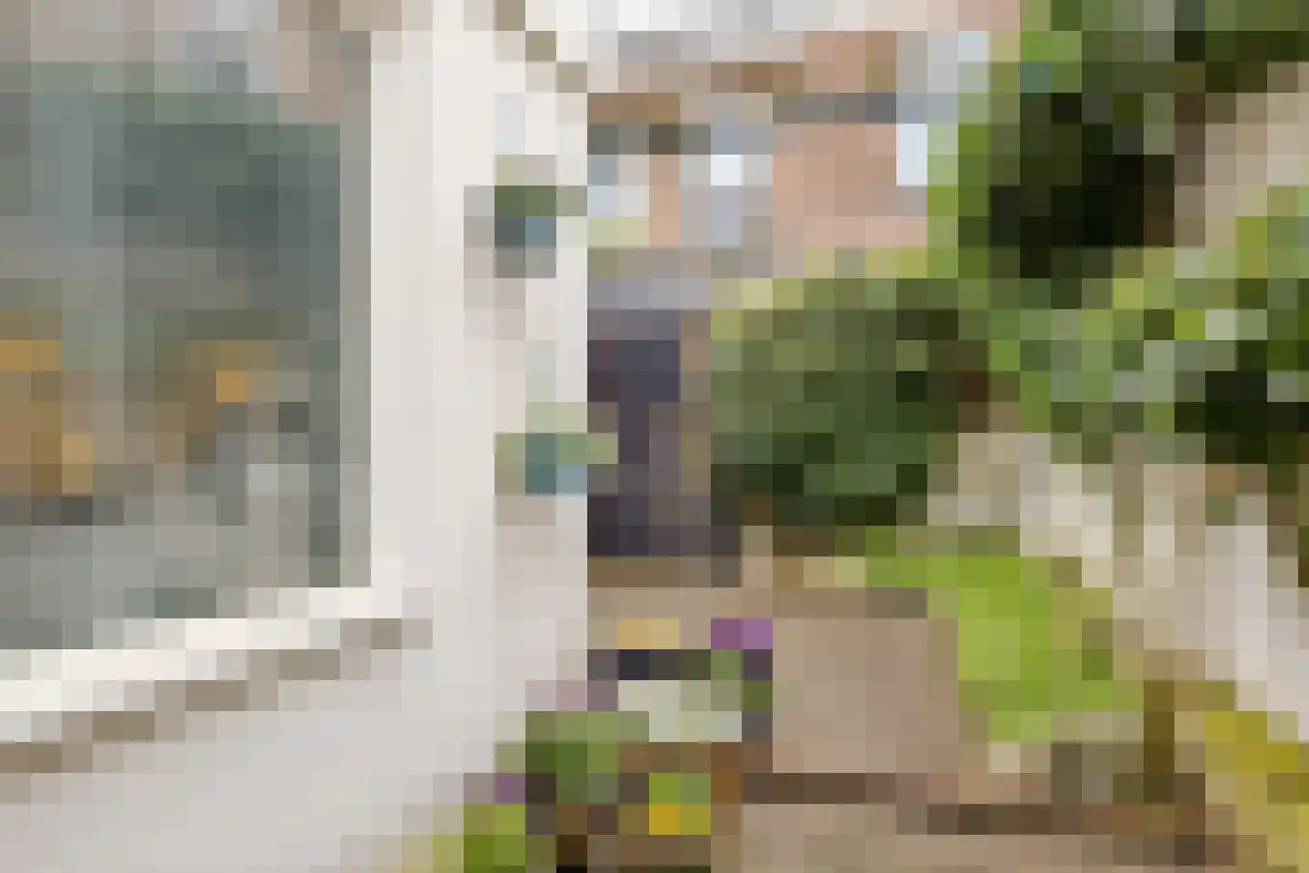 Steenstraat 3 Utrecht thumbnail 20
