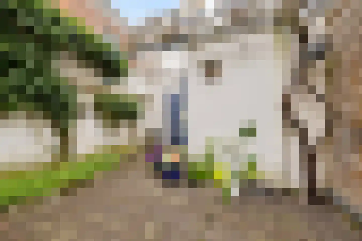 Steenstraat 3 Utrecht thumbnail 21