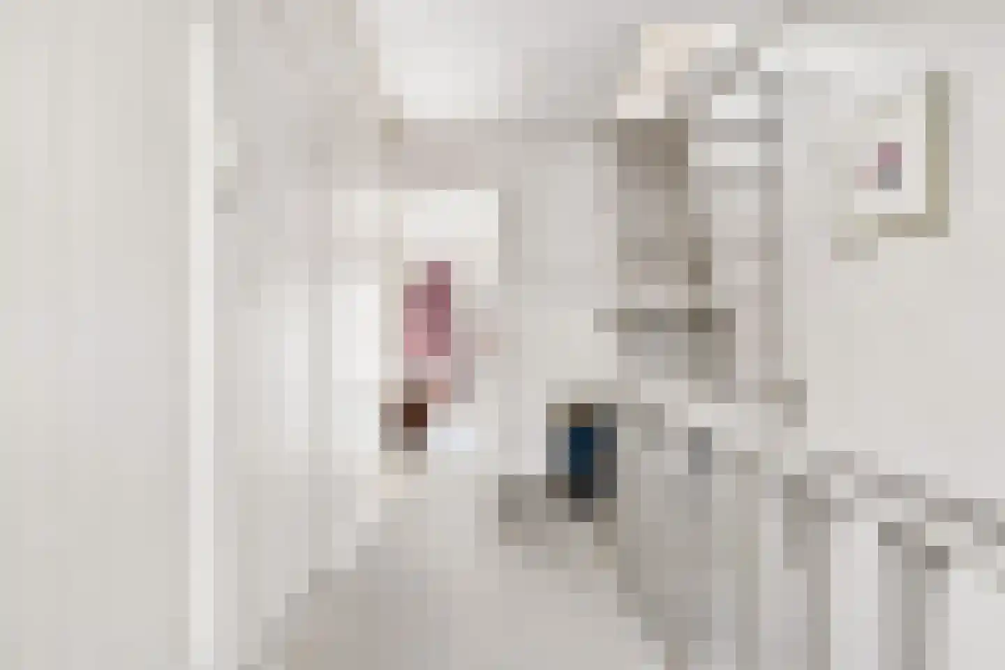 Steenstraat 3 Utrecht thumbnail 24