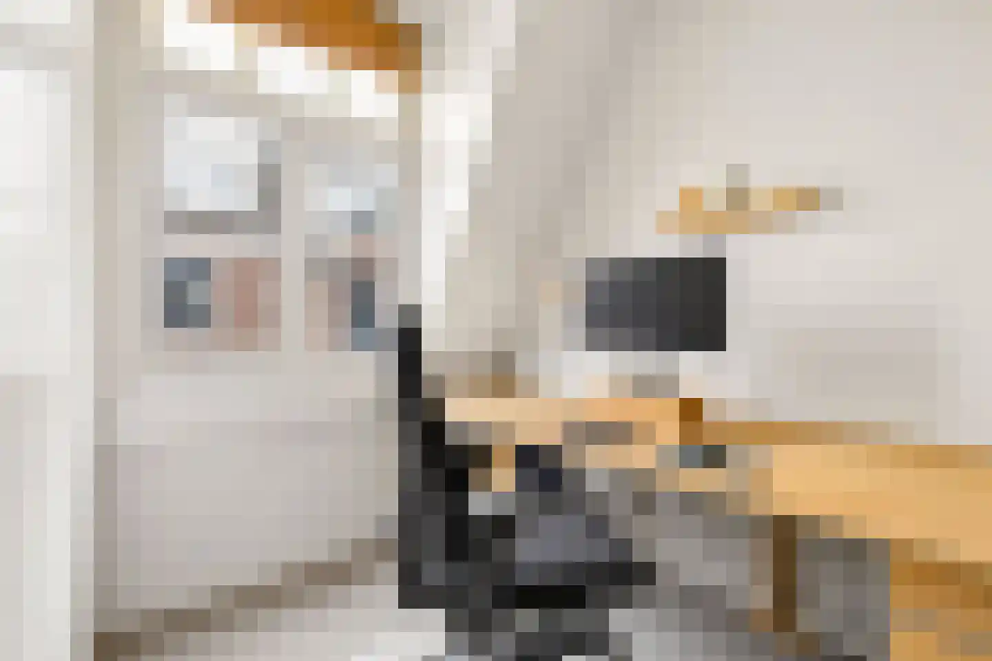 Steenstraat 3 Utrecht thumbnail 25