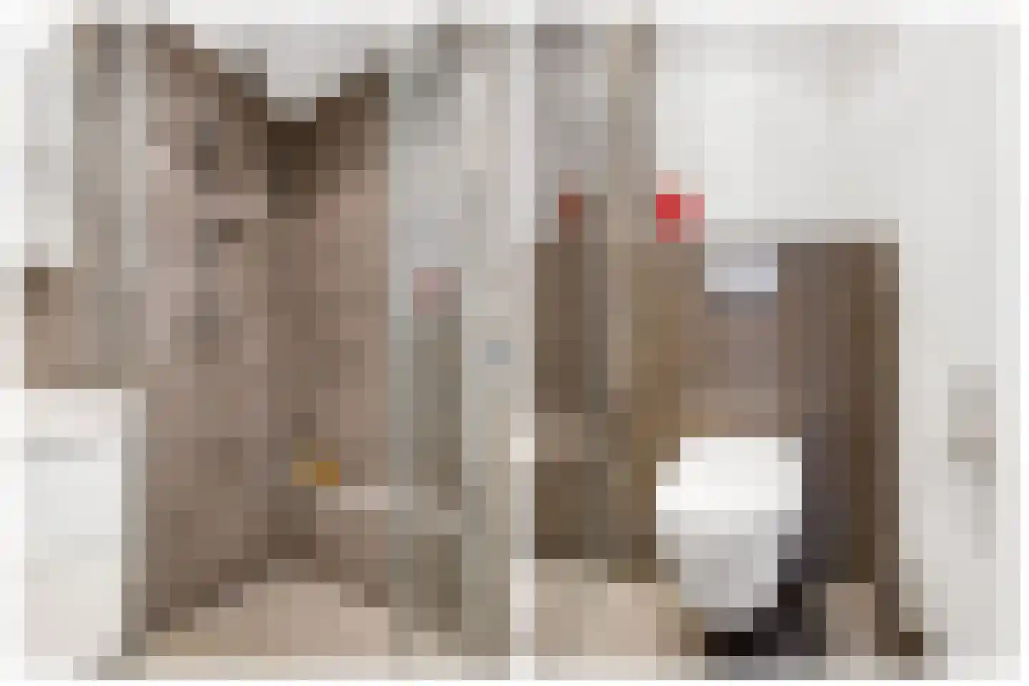 Steenstraat 3 Utrecht thumbnail 30