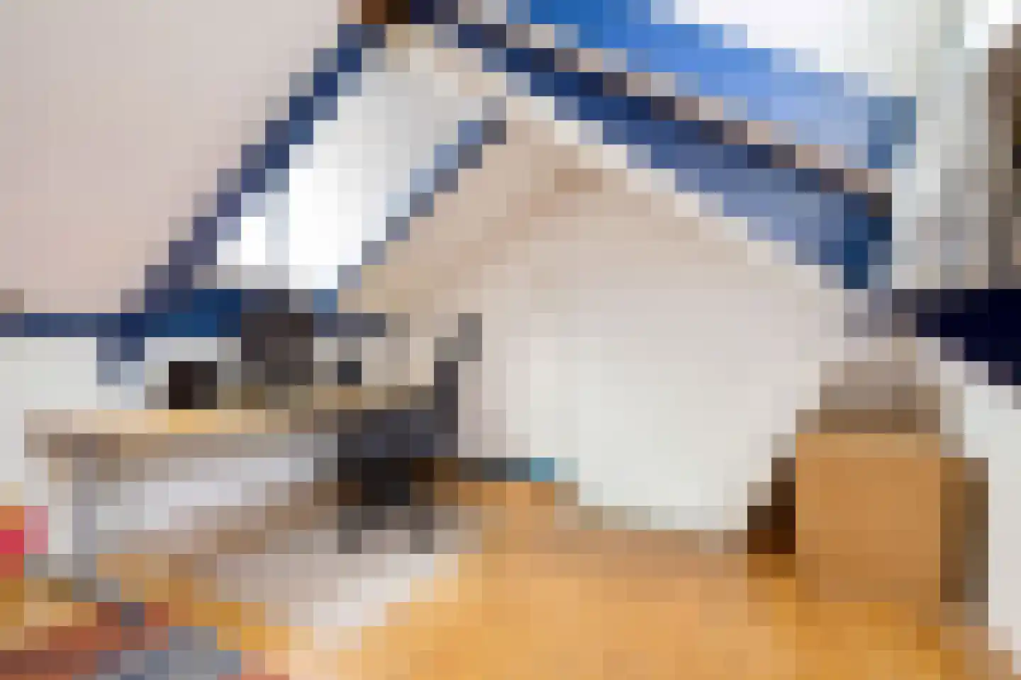 Steenstraat 3 Utrecht thumbnail 31