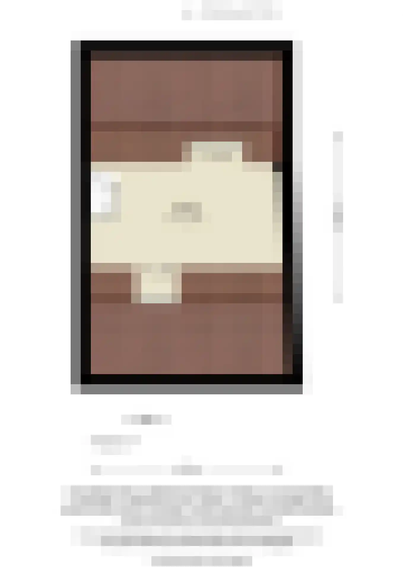 Steenstraat 3 Utrecht thumbnail 44