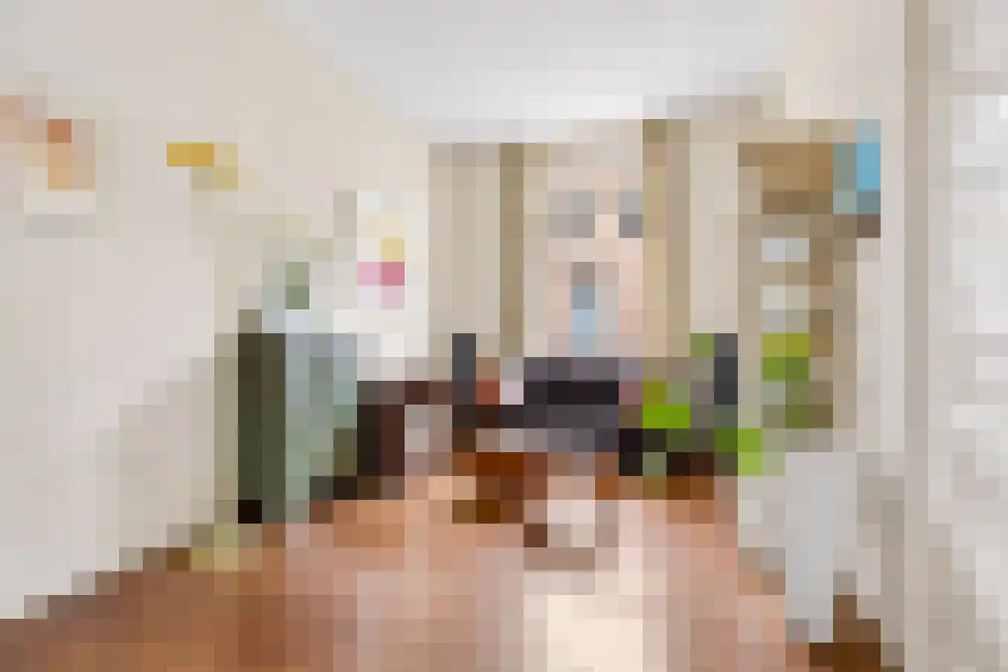 Steenstraat 3 Utrecht thumbnail 7