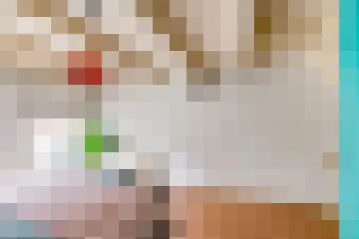 Steenstraat 30 Zwolle thumbnail 33