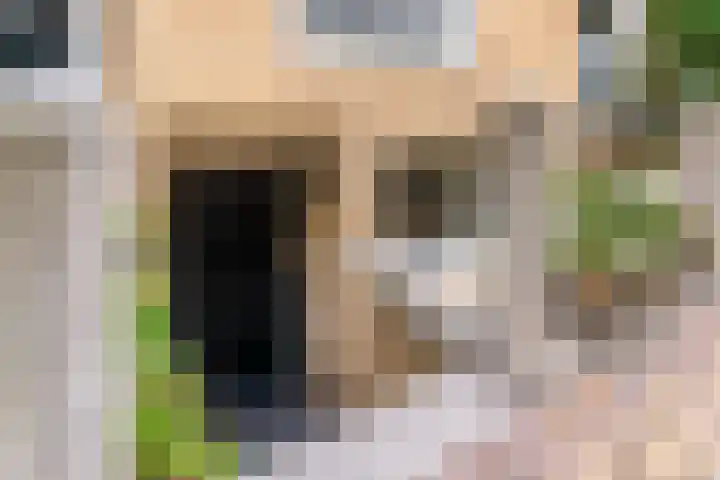 Steenstraat 30 Zwolle thumbnail 4