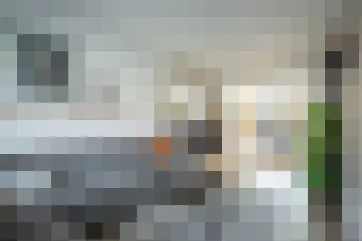 Steenstraat 31 Maasbracht thumbnail 8