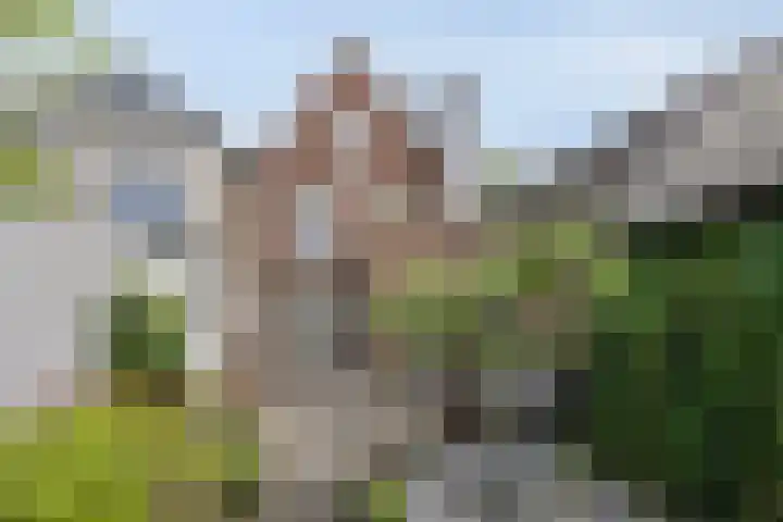 Steenstraat 34 Boxmeer thumbnail 32