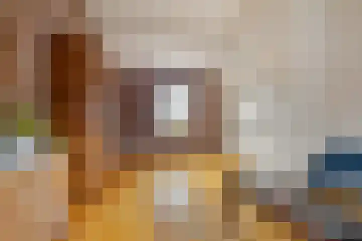 Steenstraat 38 Panningen thumbnail 9