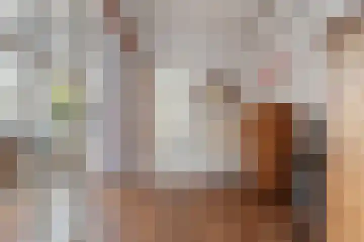 Steenstraat 4 Didam thumbnail 11