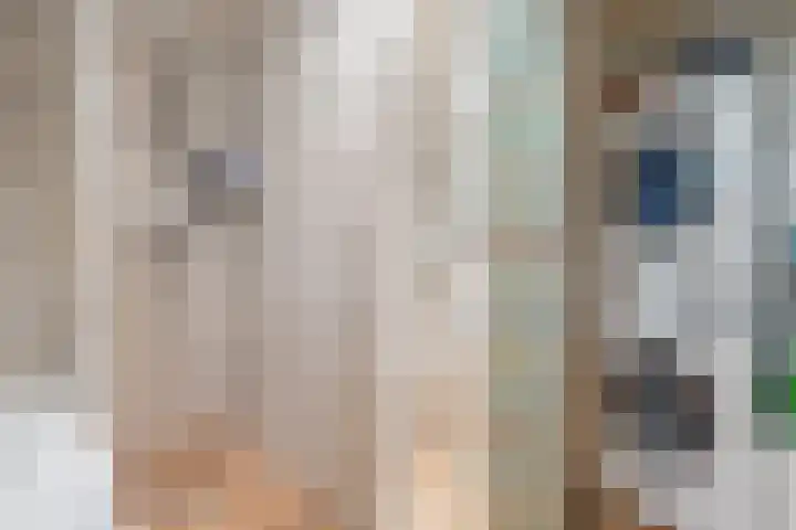 Steenstraat 4 Didam thumbnail 16