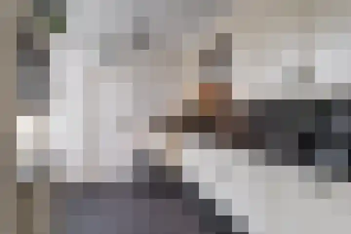 Steenstraat 4 Didam foto 2