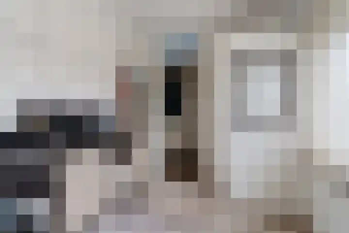 Steenstraat 4 Didam thumbnail 21