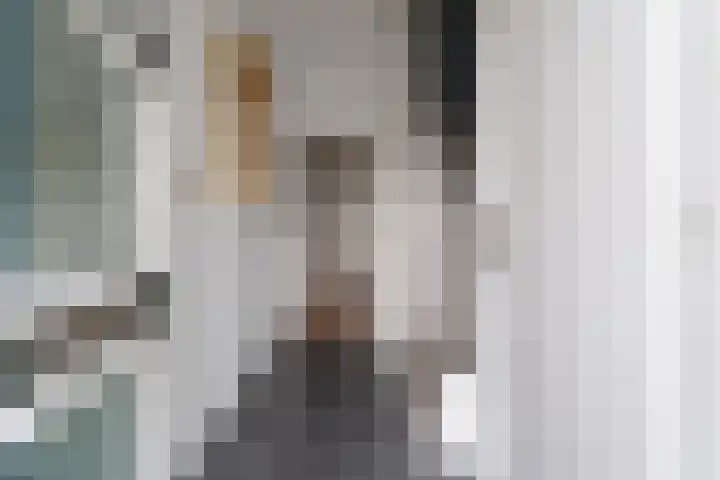 Steenstraat 4 Didam thumbnail 28
