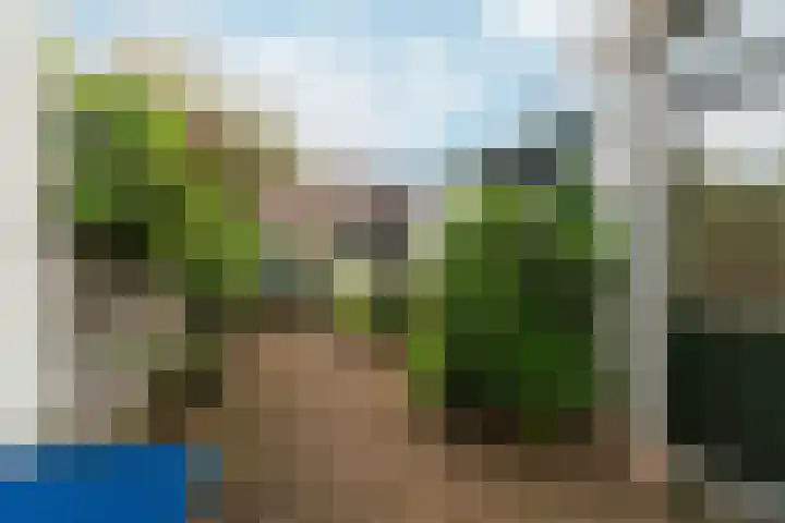 Steenstraat 4 Didam thumbnail 29
