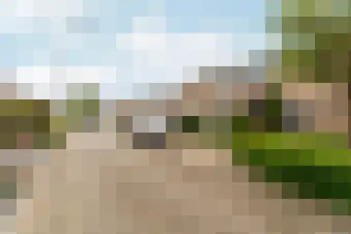 Steenstraat 4 Didam thumbnail 34