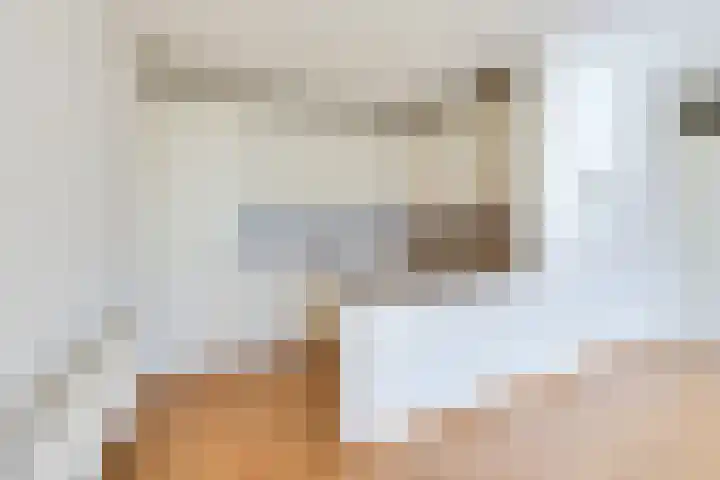 Steenstraat 4 Didam thumbnail 36