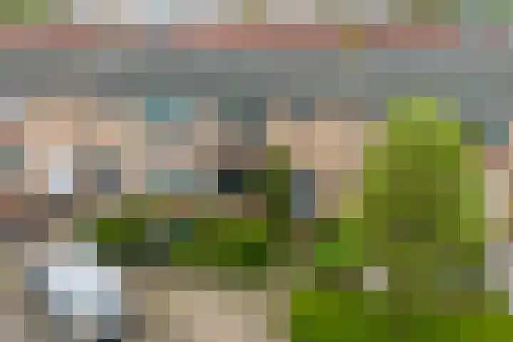 Steenstraat 4 Didam thumbnail 38