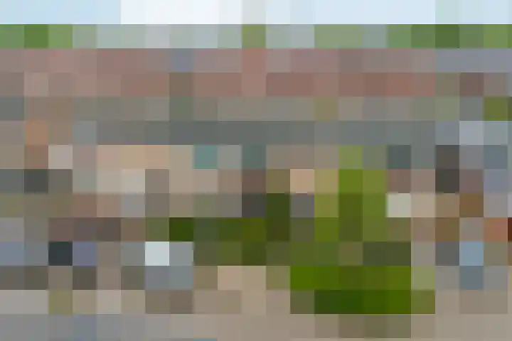 Steenstraat 4 Didam thumbnail 39