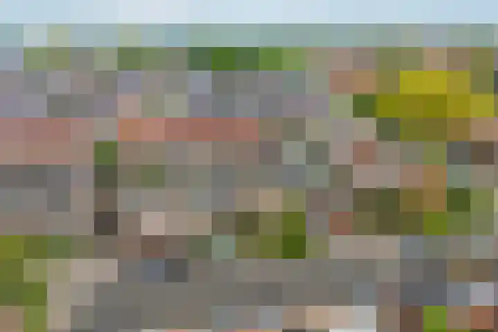 Steenstraat 4 Didam thumbnail 40