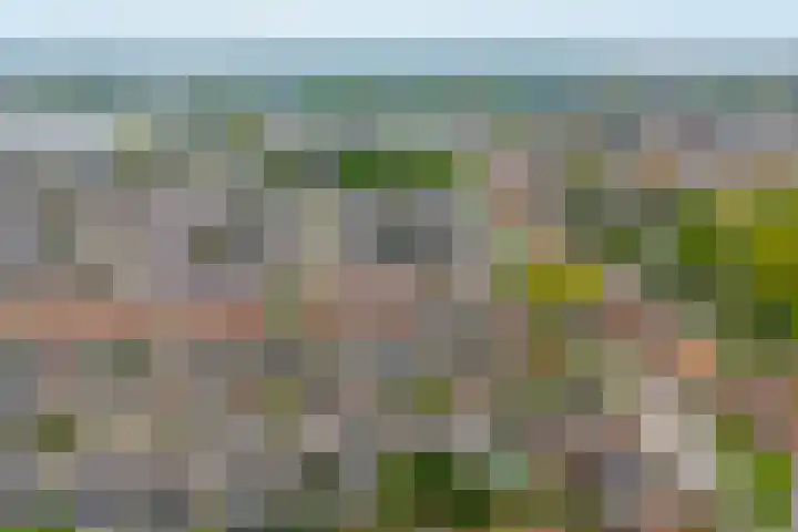 Steenstraat 4 Didam thumbnail 41