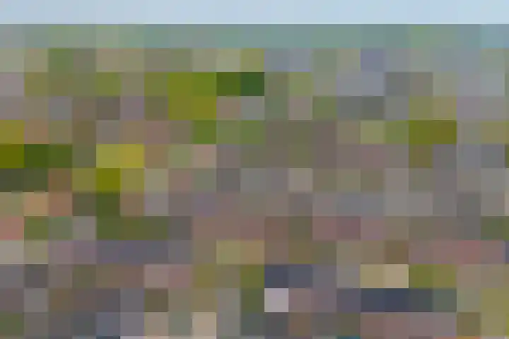 Steenstraat 4 Didam thumbnail 42