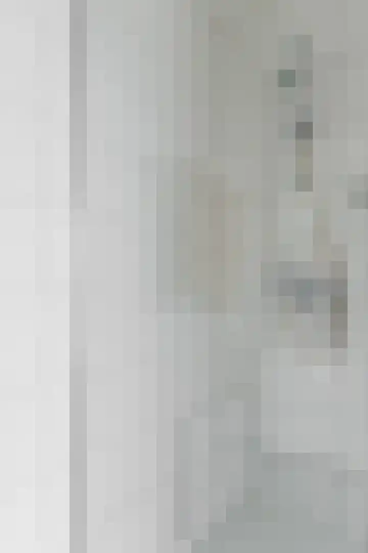 Steenstraat 4 Didam thumbnail 7