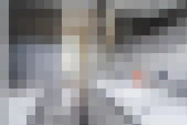 Steenstraat 4 Eersel thumbnail 32