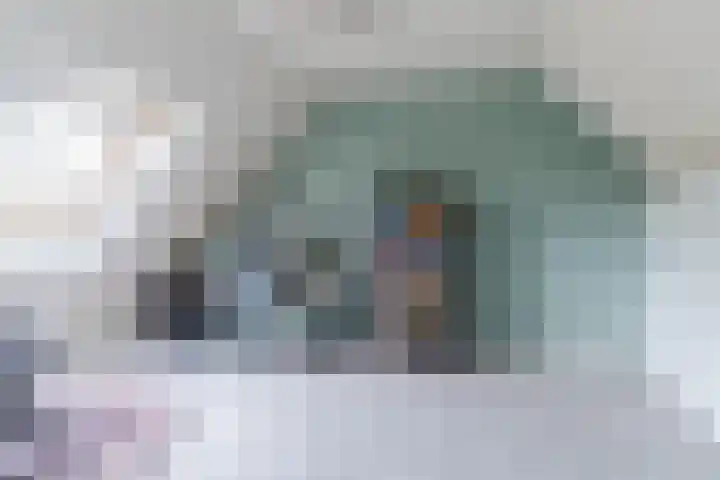 Steenstraat 4 Eersel thumbnail 37