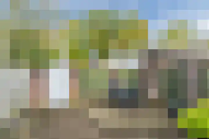 Steenstraat 4 Eersel thumbnail 44
